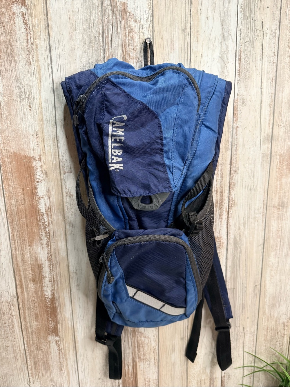 CamelBak Navy and Royal Blue Men's Hydration Backpack